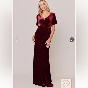 Revelry Giselle Velvet Dress in Burgundy